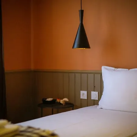 Beautiful Location Red Mouse