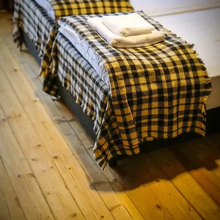 Beautiful Location Red Mouse *