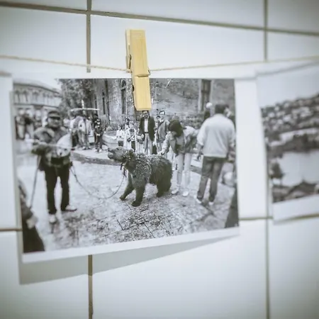 Beautiful Location Red Mouse Lägenhet Plovdiv